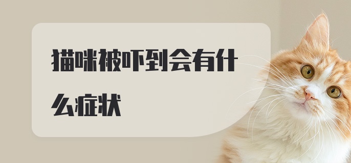 猫咪被吓到会有什么症状