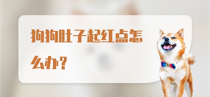 狗狗肚子起红点怎么办？