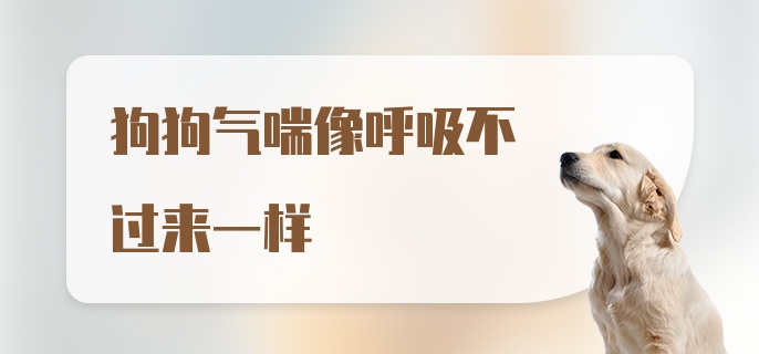 狗狗气喘像呼吸不过来一样