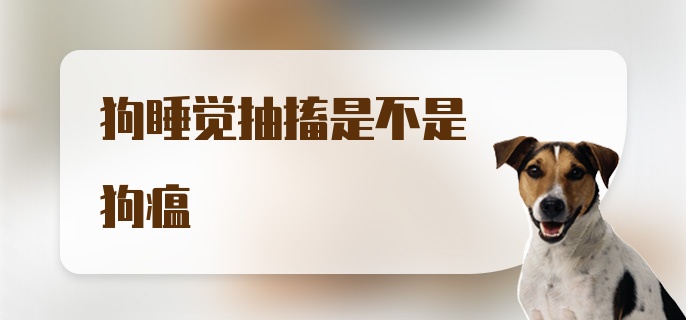 狗睡觉抽搐是不是狗瘟