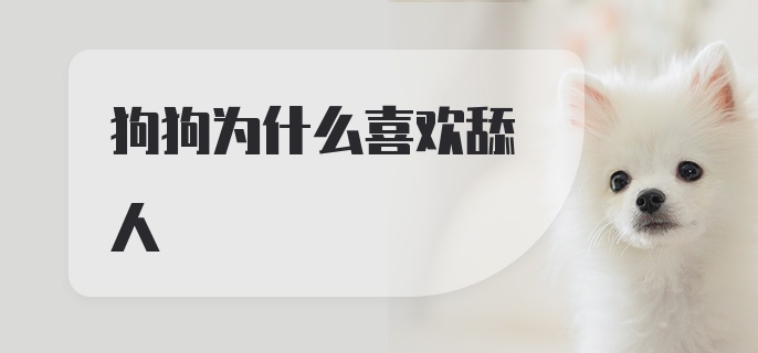 狗狗为什么喜欢舔人