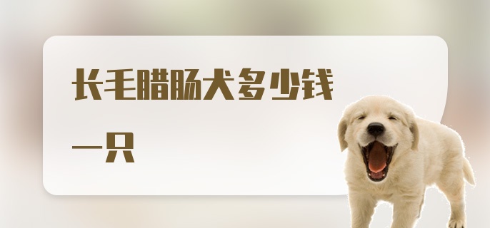 长毛腊肠犬多少钱一只