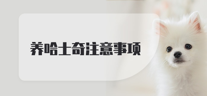 养哈士奇注意事项