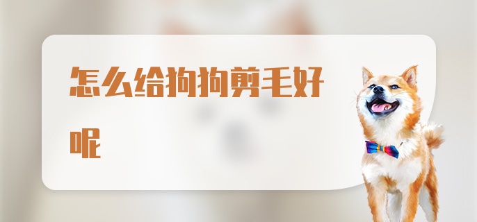 怎么给狗狗剪毛好呢