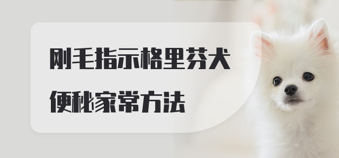 刚毛指示格里芬犬便秘家常方法