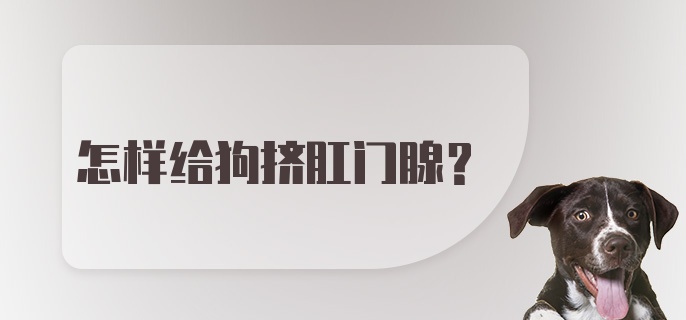 怎样给狗挤肛门腺?