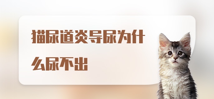 猫尿道炎导尿为什么尿不出