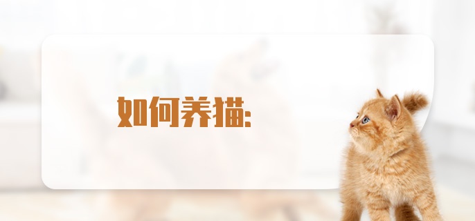 如何养猫: