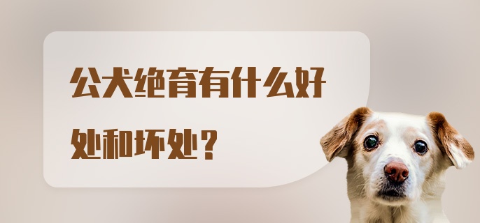 公犬绝育有什么好处和坏处？