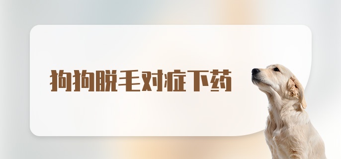 狗狗脱毛对症下药