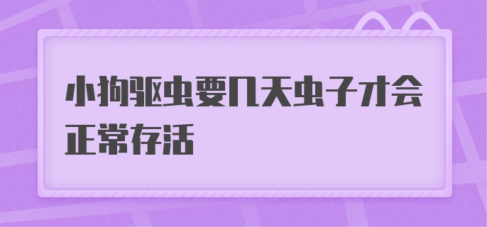 小狗驱虫要几天虫子才会正常存活