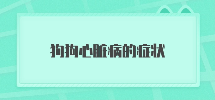 狗狗心脏病的症状