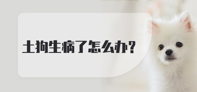 土狗生病了怎么办？