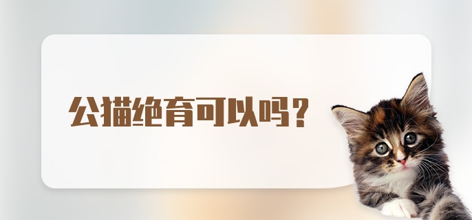 公猫绝育可以吗？