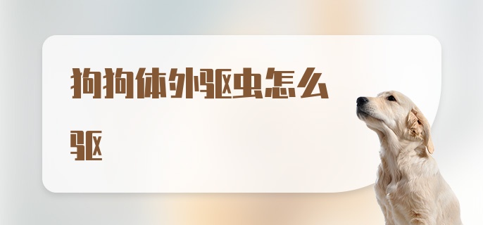 狗狗体外驱虫怎么驱