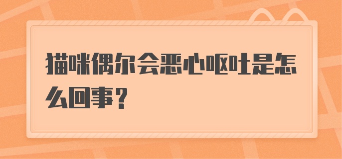 猫咪偶尔会恶心呕吐是怎么回事？