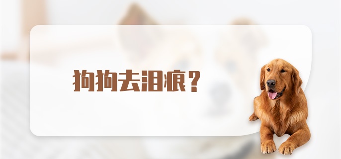 狗狗去泪痕？