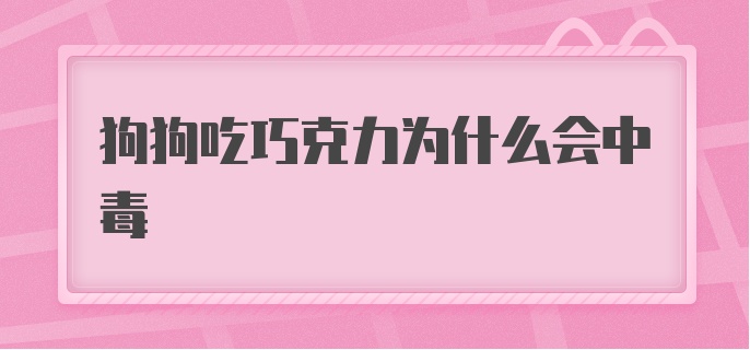 狗狗吃巧克力为什么会中毒