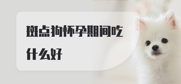 斑点狗怀孕期间吃什么好