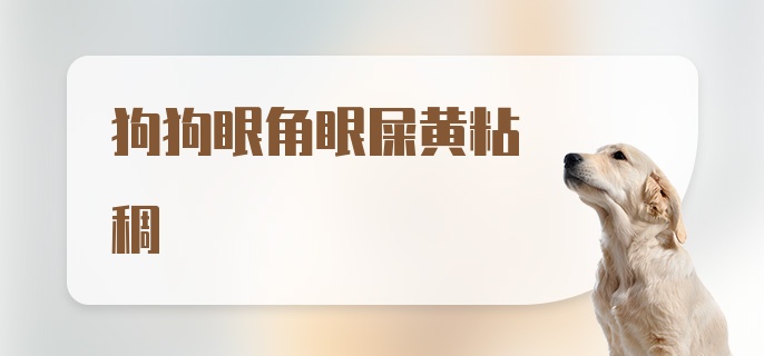 狗狗眼角眼屎黄粘稠