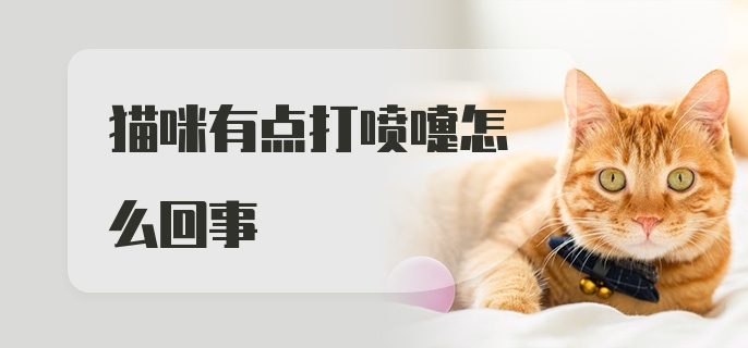 猫咪有点打喷嚏怎么回事