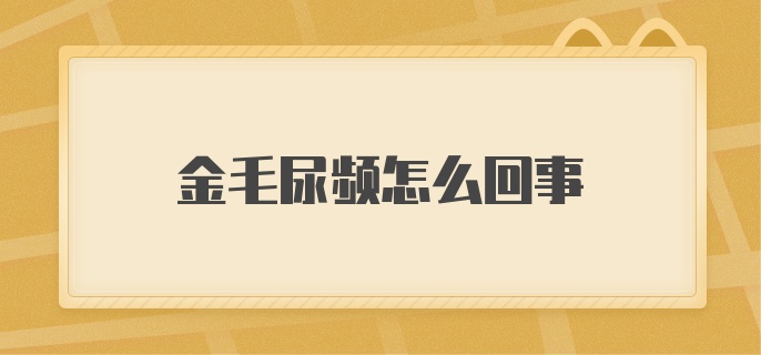 金毛尿频怎么回事