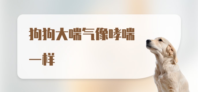 狗狗大喘气像哮喘一样