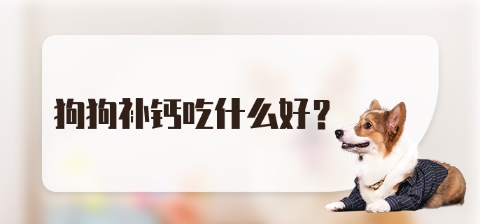 狗狗补钙吃什么好？