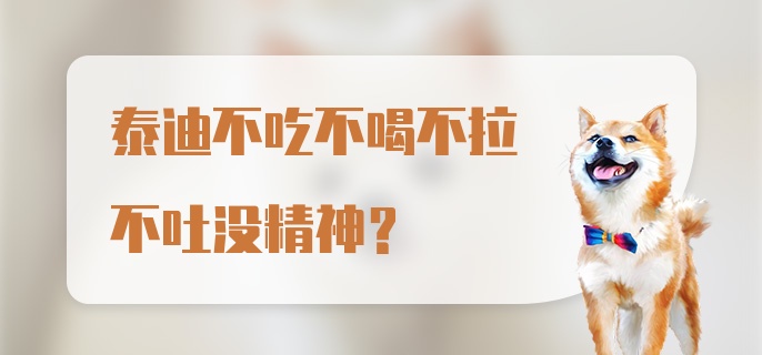 泰迪不吃不喝不拉不吐没精神？