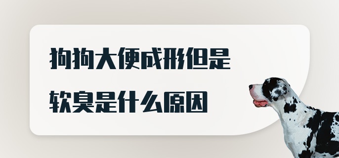 狗狗大便成形但是软臭是什么原因