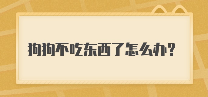 狗狗不吃东西了怎么办?