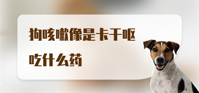 狗咳嗽像是卡干呕吃什么药