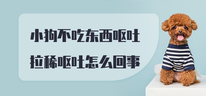 小狗不吃东西呕吐拉稀呕吐怎么回事