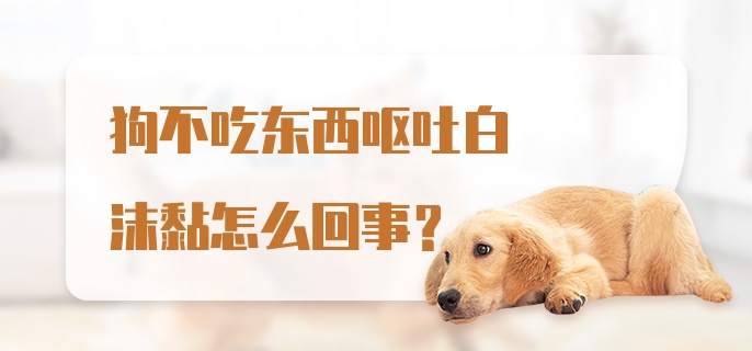 狗不吃东西呕吐白沫黏怎么回事？