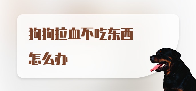 狗狗拉血不吃东西怎么办