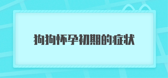 狗狗怀孕初期的症状