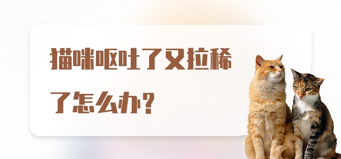 猫咪呕吐了又拉稀了怎么办？