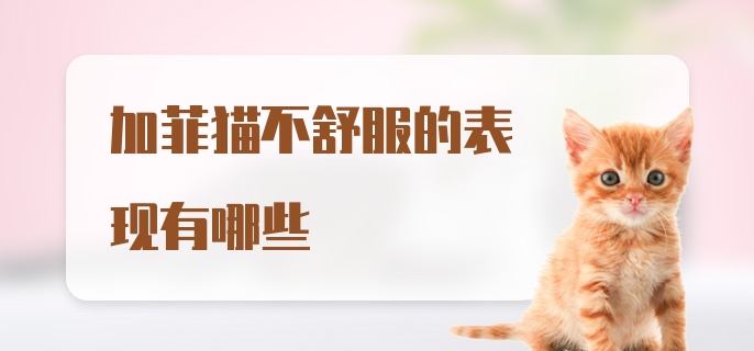 加菲猫不舒服的表现有哪些