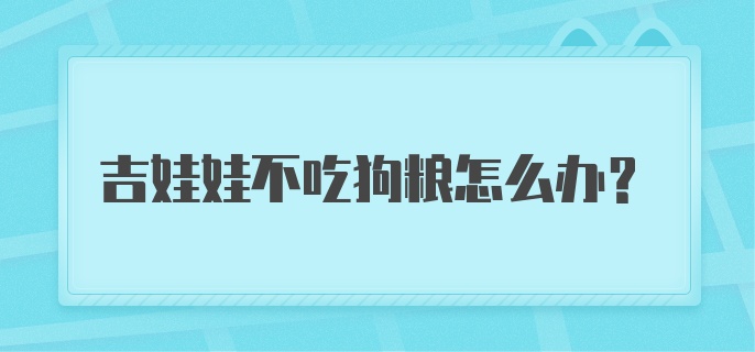 吉娃娃不吃狗粮怎么办？