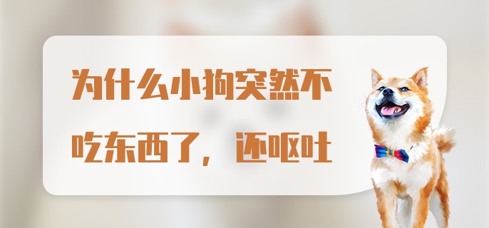 为什么小狗突然不吃东西了,还呕吐