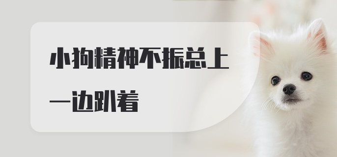 小狗精神不振总上一边趴着