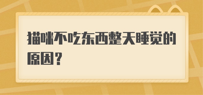 猫咪不吃东西整天睡觉的原因？