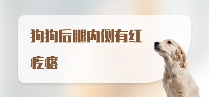 狗狗后腿内侧有红疙瘩