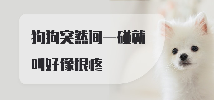 狗狗突然间一碰就叫好像很疼