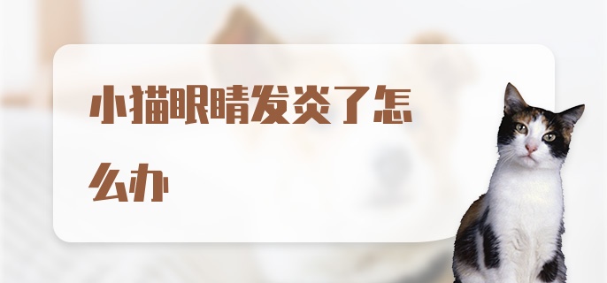 小猫眼睛发炎了怎么办