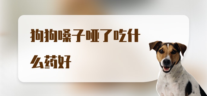 狗狗嗓子哑了吃什么药好