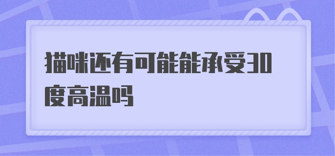 猫咪还有可能能承受30度高温吗