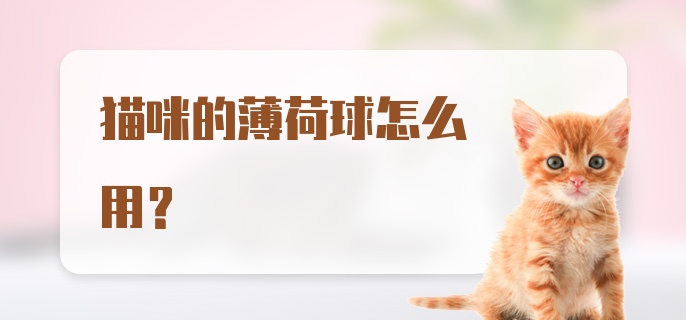 猫咪的薄荷球怎么用?