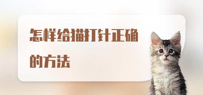 怎样给猫打针正确的方法