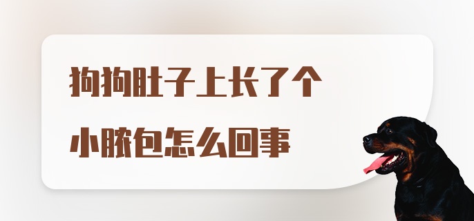 狗狗肚子上长了个小脓包怎么回事